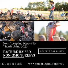 Load image into Gallery viewer, Pasture Raised GMO-Free Whole Turkeys for Thanksgiving 2023! (Deposit only)
