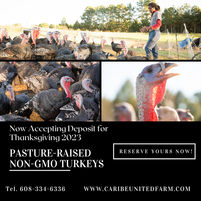 Pasture Raised GMO-Free Whole Turkeys for Thanksgiving 2023! (Deposit only)