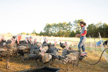 Load image into Gallery viewer, Pasture Raised GMO-Free Whole Turkeys for Thanksgiving 2023! (Deposit only)