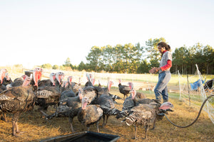 Pasture Raised GMO-Free Whole Turkeys for Thanksgiving 2023! (Deposit only)